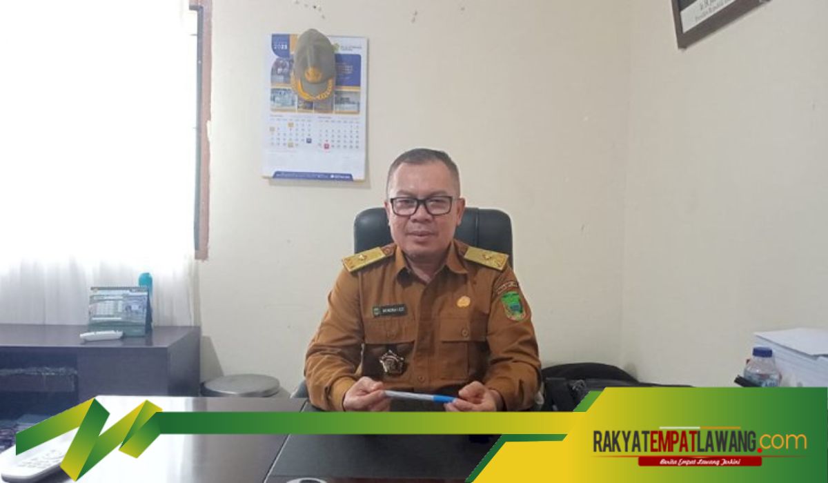 Siap Memasuki Masa Panen Padi Potensi Panen Menjanjikan di Kabupaten Empat Lawang