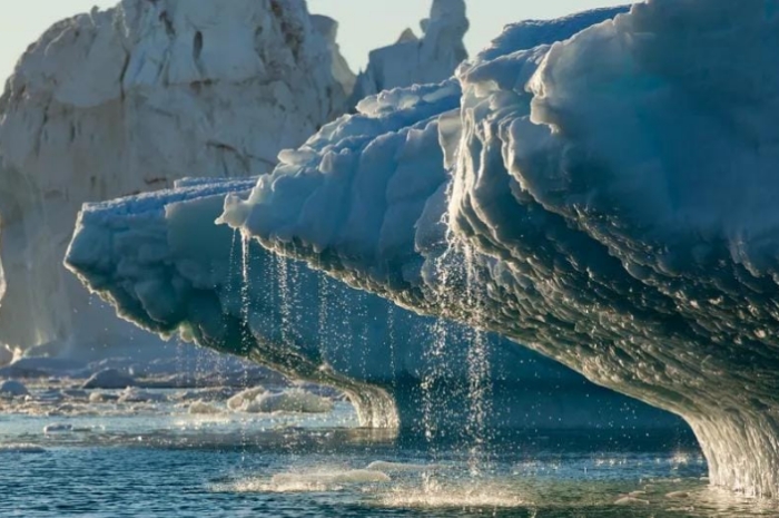 Perubahan Iklim di Antartika: Dampaknya pada Dunia dan Upaya Pelestariannya