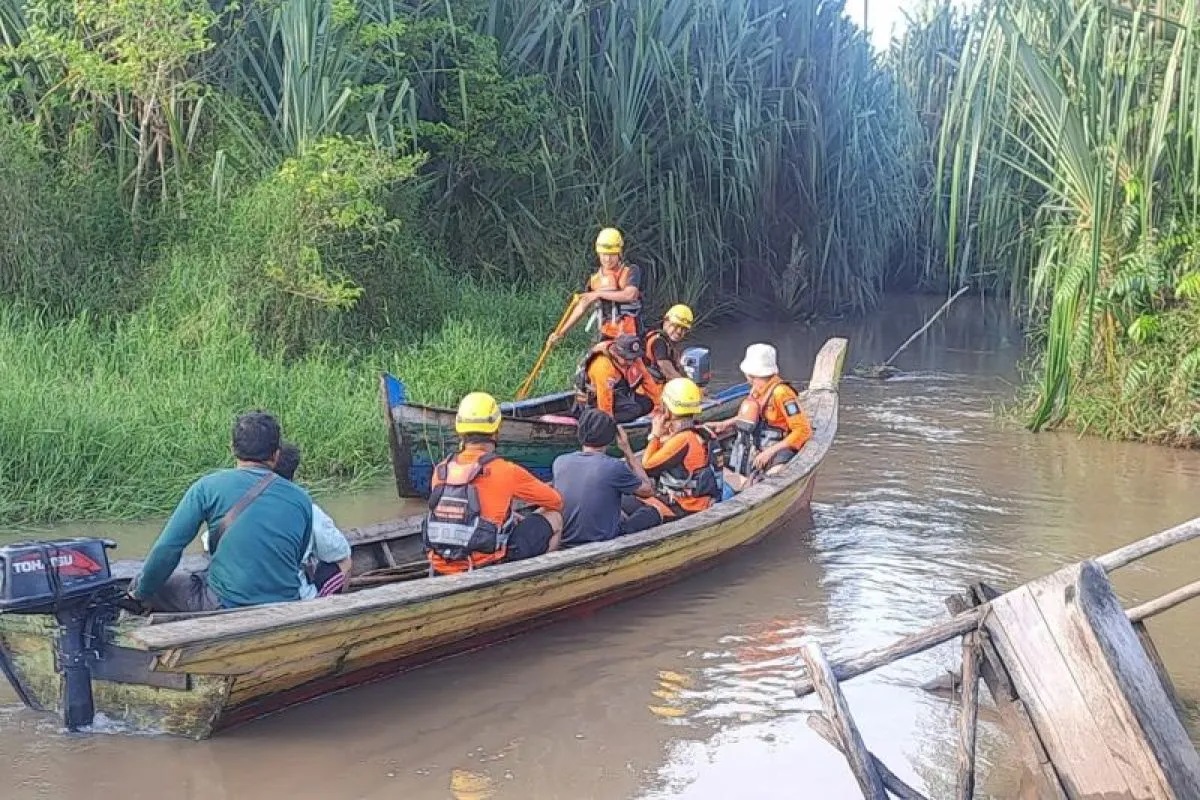 Buaya Makin Ganas di Babel, Ini Penyebabnya Menurut Ahli dan Warga