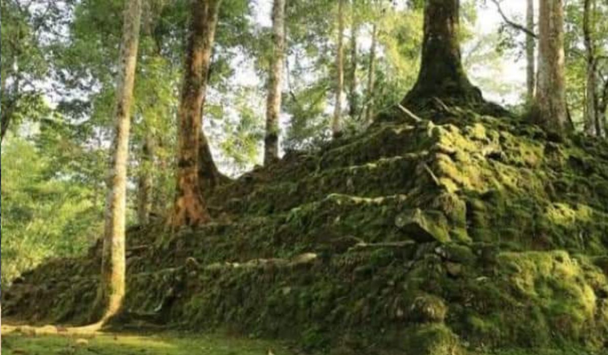 Situs Lebak Cibedug: Warisan Megalitikum di Kabupaten Lebak