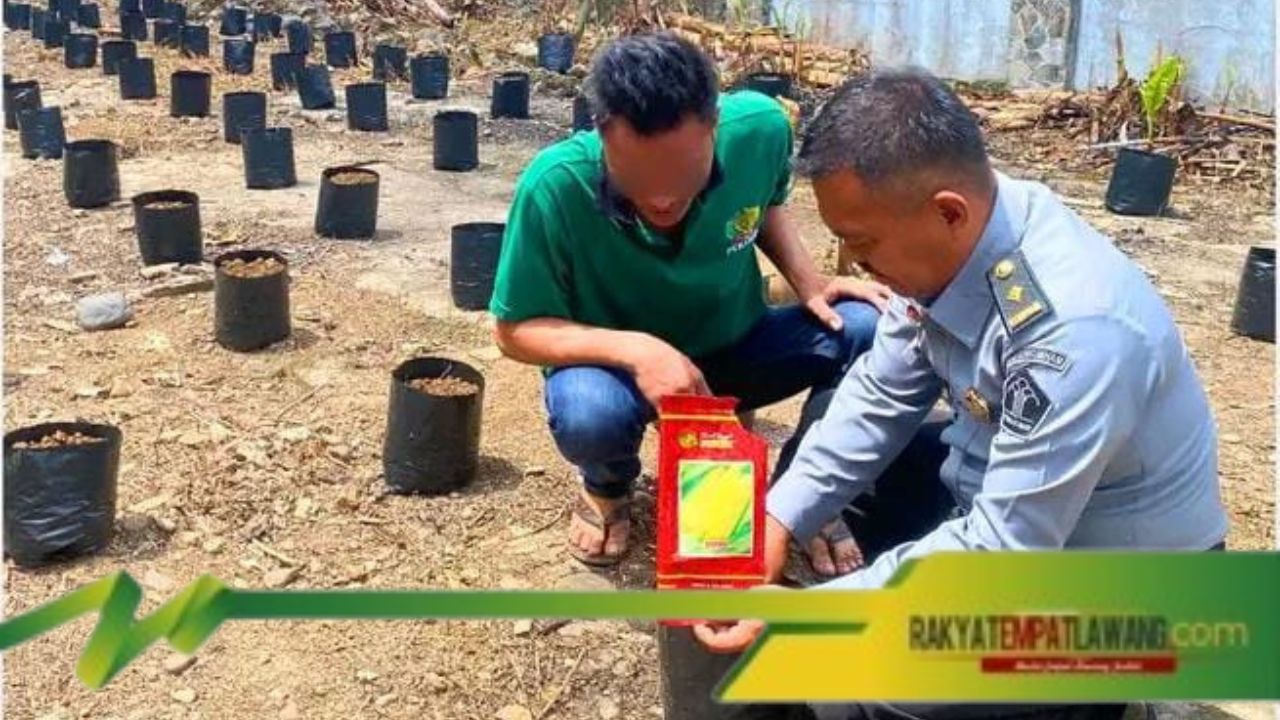 Warga Binaan Lapas Empat Lawang Tanam Jagung untuk Dukung Ketahanan Pangan