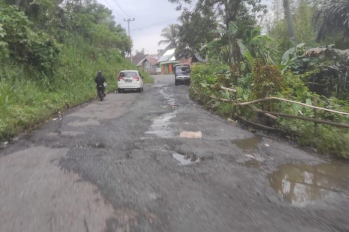 Sering Tergenang Air, Sebabkan Jalan Cepat Rusak dan Berlubang