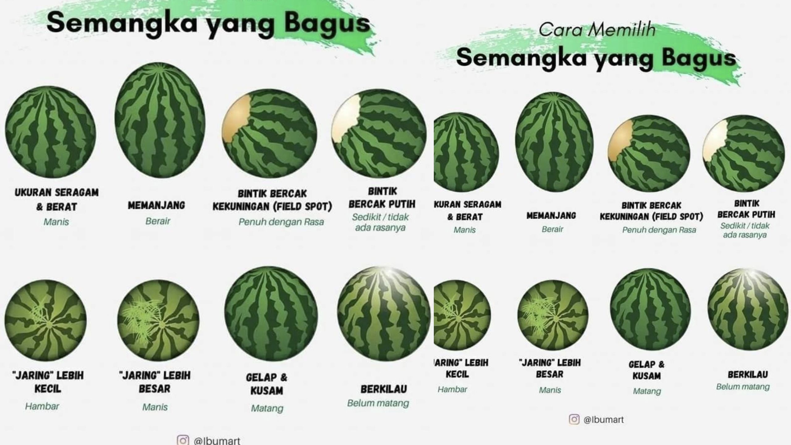 Cara Memilih Semangka yang Segar dan Berkualitas