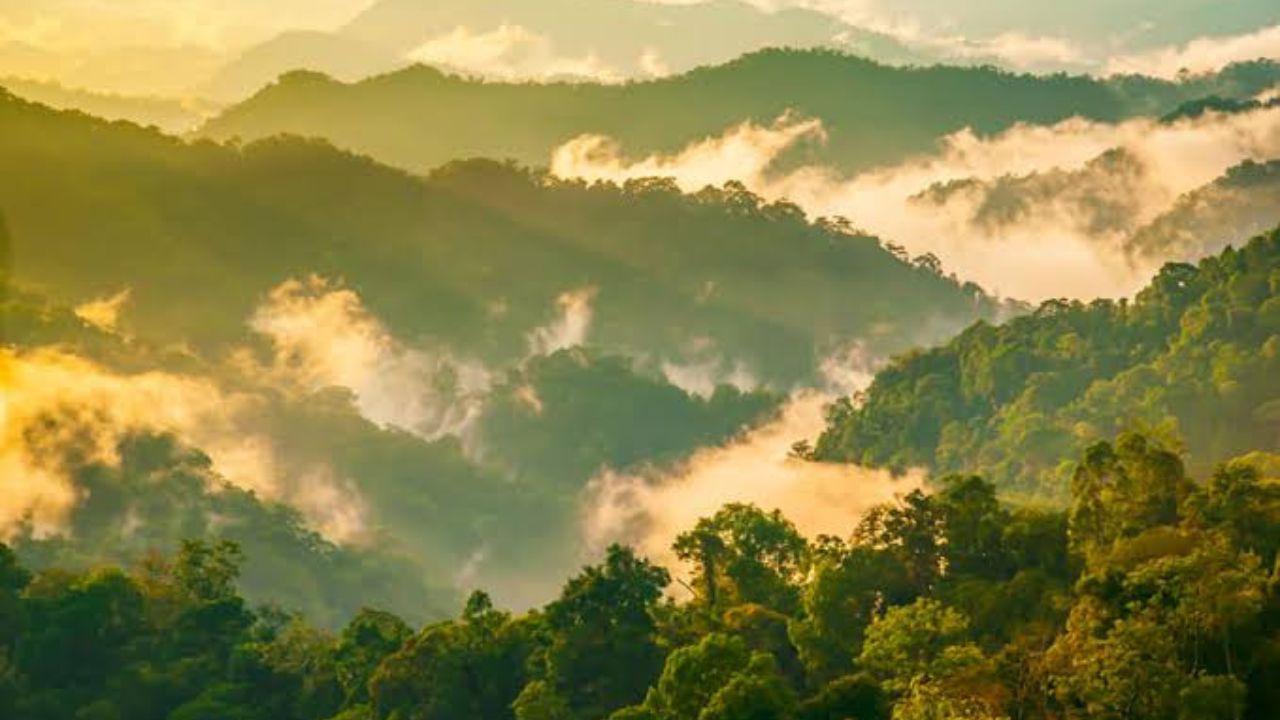 Misteri Kaeng Krachan: Kisah Angker Roh Hutan yang Berbisik
