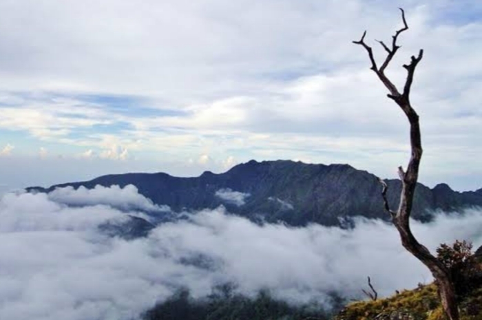 Misteri Noni Belanda: Arwah Penjaga Gunung Bawakaraeng