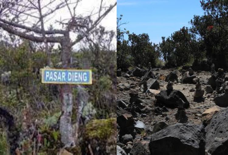 Pasar Dieng dan Alas Lali Jiwo, Misteri di Puncak Gunung Arjuno