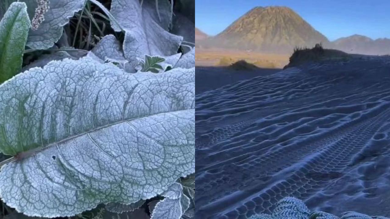 Fenomena Salju di Gunung Bromo: Keajaiban Alam yang Langka