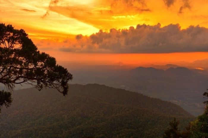 Menikah dengan Orang Bunian: Warga Malaysia Punya 7 Anak di Gunung Ledang