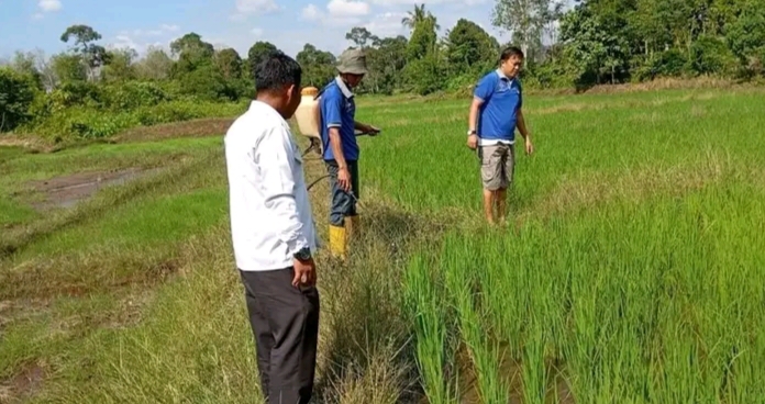 Wujudkan Ketahanan Pangan, Lapas Empat Lawang Laksanakan Kegiatan SAE untuk Warga Binaan