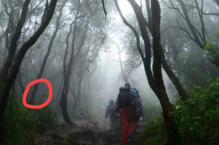 Keajaiban atau Khayalan? Misteri Pendaki yang Bertemu dengan Orang Bunian di Jawa Barat