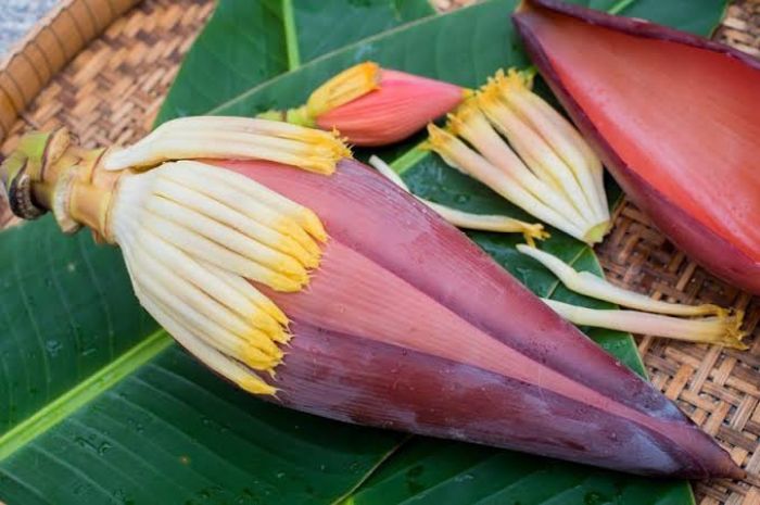 Manfaat Jantung Pisang Bagi Kesehatan Fisik