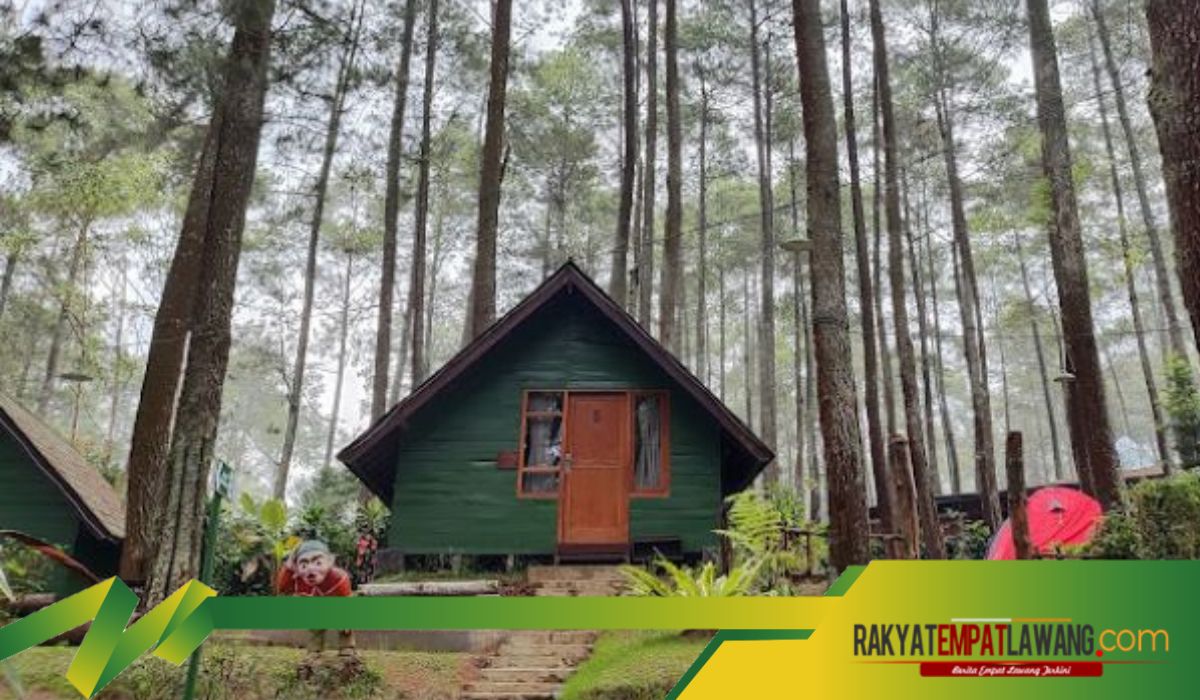 Tempat Wisata di Bandung Ini Bagaikan Bersembunyi di Dalam Hutan Bikin Bisa Tenang Banget, Yakin Betah