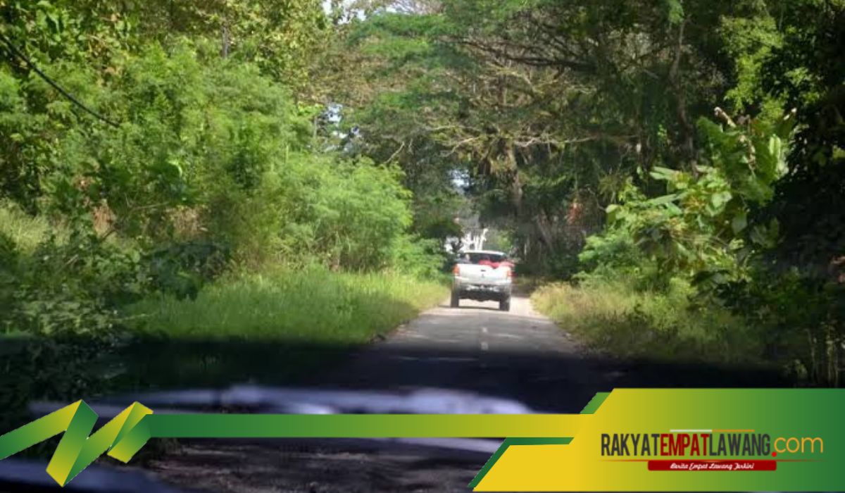 Konon Banyak Menyimpan Misteri dan Tragisnya Jalan Tunggal Panaluan, Tempat Eksekusi dan Legenda Mistis