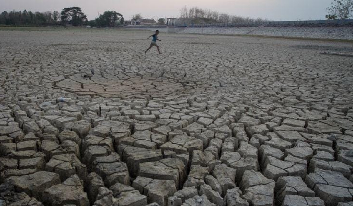 7 Cara Menghadapi dan Mengatasi Musim Kemarau yang Mengakibatkan Kekeringan