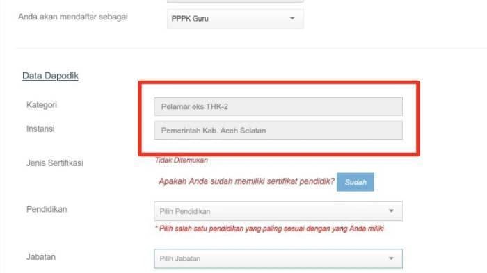 Jangan Sampai Ketinggalan! Begini Cara Cek Pengumuman Lulus PPPK 2024 Tahap I