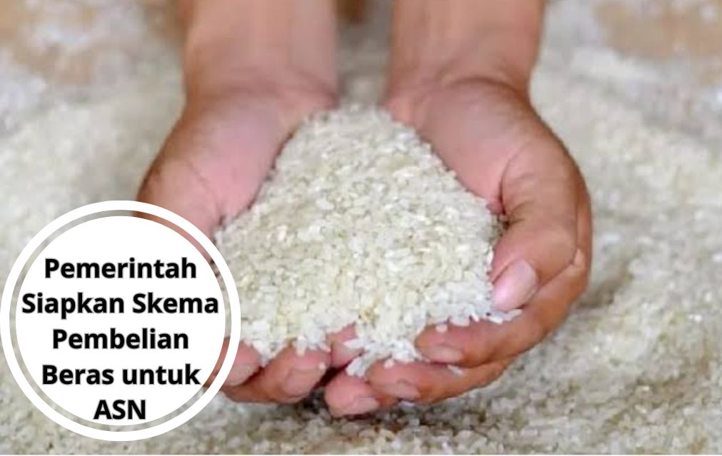 Pemerintah Siapkan Skema Pembelian Beras untuk ASN