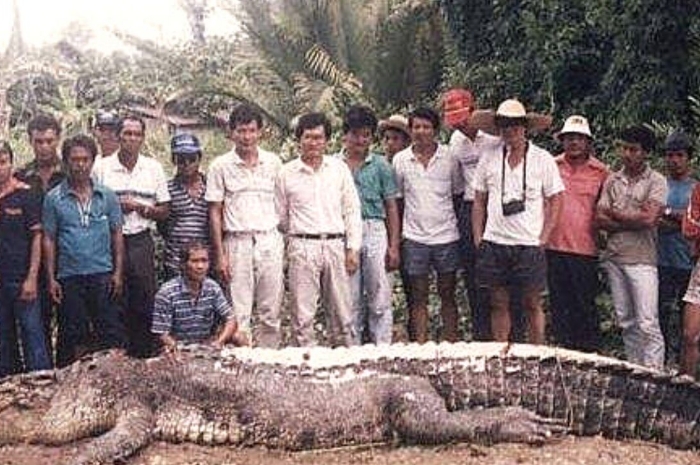 Kisah dari Negeri Jiran Malaysia, Legenda Bujang Senang Buaya Raksasa yang Menggemparkan Batang Lupar