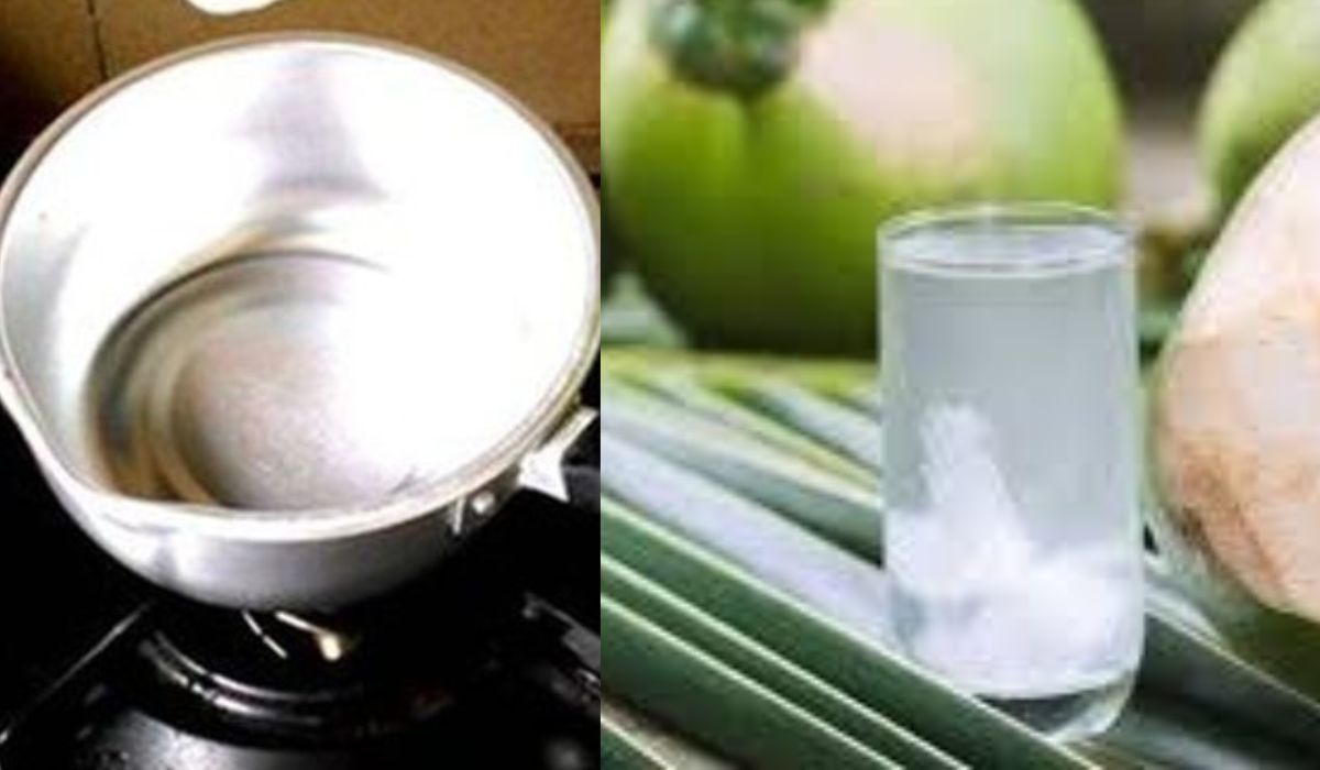 Jangan Dibuang Simak Disini Manfaat Rebusan Air Kelapa Minuman Sehat dengan Banyak Keunggulan