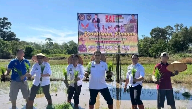 Wujudkan Ketahanan Pangan, Lapas Empat Lawang Tanam Padi di Lahan Sarana Asimilasi dan Edukasi