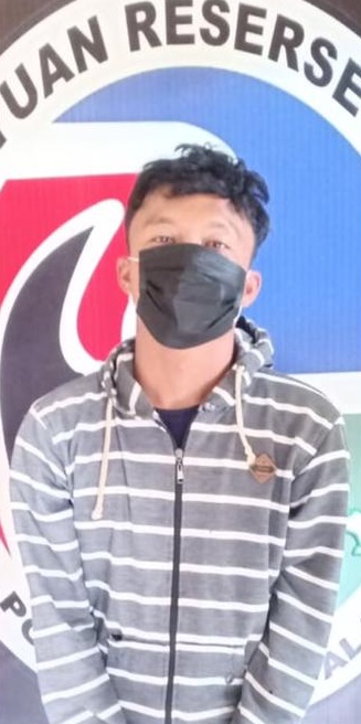 Ditangkap Polisi, Mahasiswa ini Tanam Daun 'Setan' di Pot