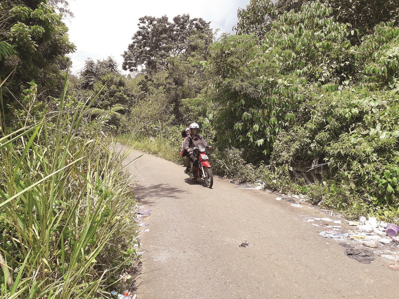 Besi Pengaman Raib, Jalan Disesaki Rumput