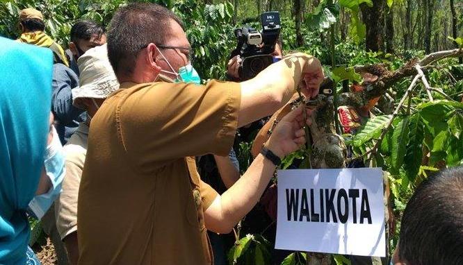 Pemkot Pagaralam Terus Tingkatkan Kesejahteraan Petani