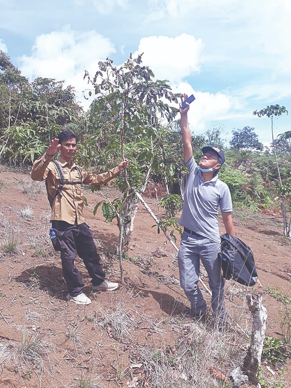 Rehabilitasi Hutan Lindung Alami Kritis