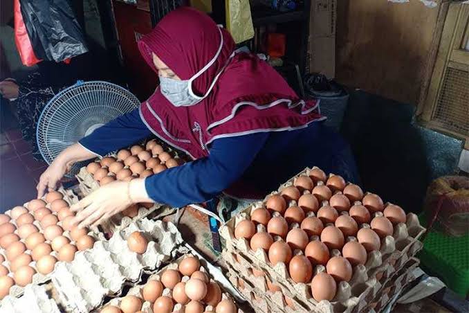 Jelang Nataru, Harga Telur di Empat Lawang Tembus Rp 50 Ribu Perkarpet