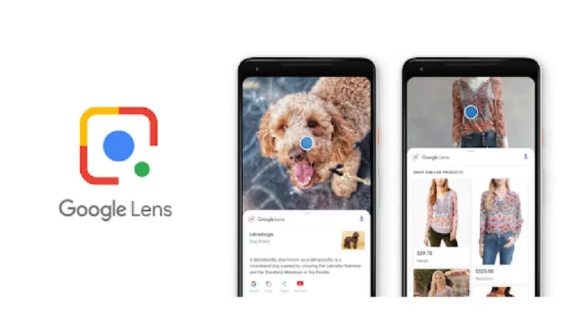 Google Lens Perbarui Fitur, Rekam Video dan Ajukan Pertanyaan Seketika!