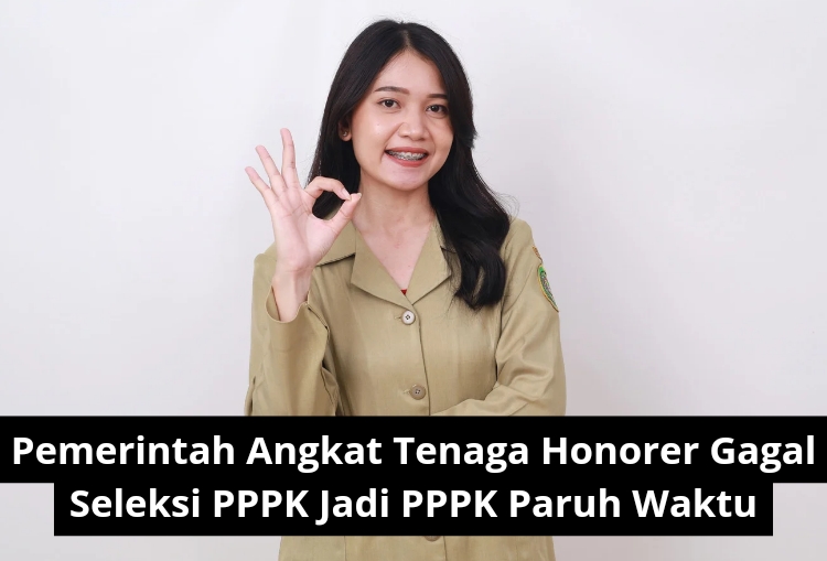 Tenaga Honorer Gagal Seleksi PPPK 2024? Ini Solusi Mengejutkan dari Pemerintah!