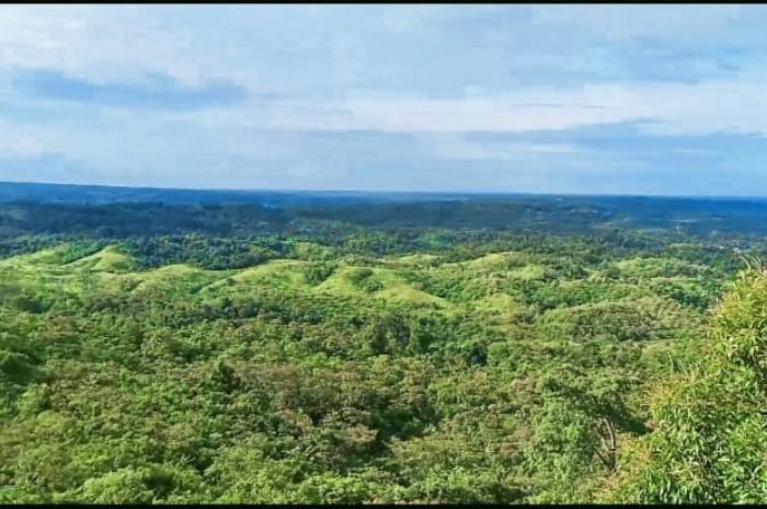 Cocok Untuk Lokasi Kemah, Ini Kisah Perjalanan FLP Cabang Empat Lawang Menuju ke Bukit Teletubbies