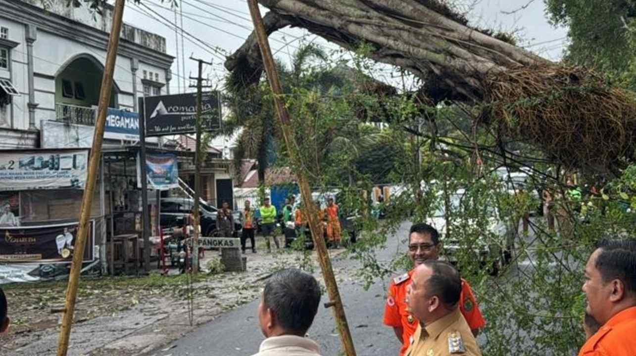 Hujan Deras dan Angin Kencang Terjang Muba, Pohon Tumbang Timpa Ruko di Jalan Utama!