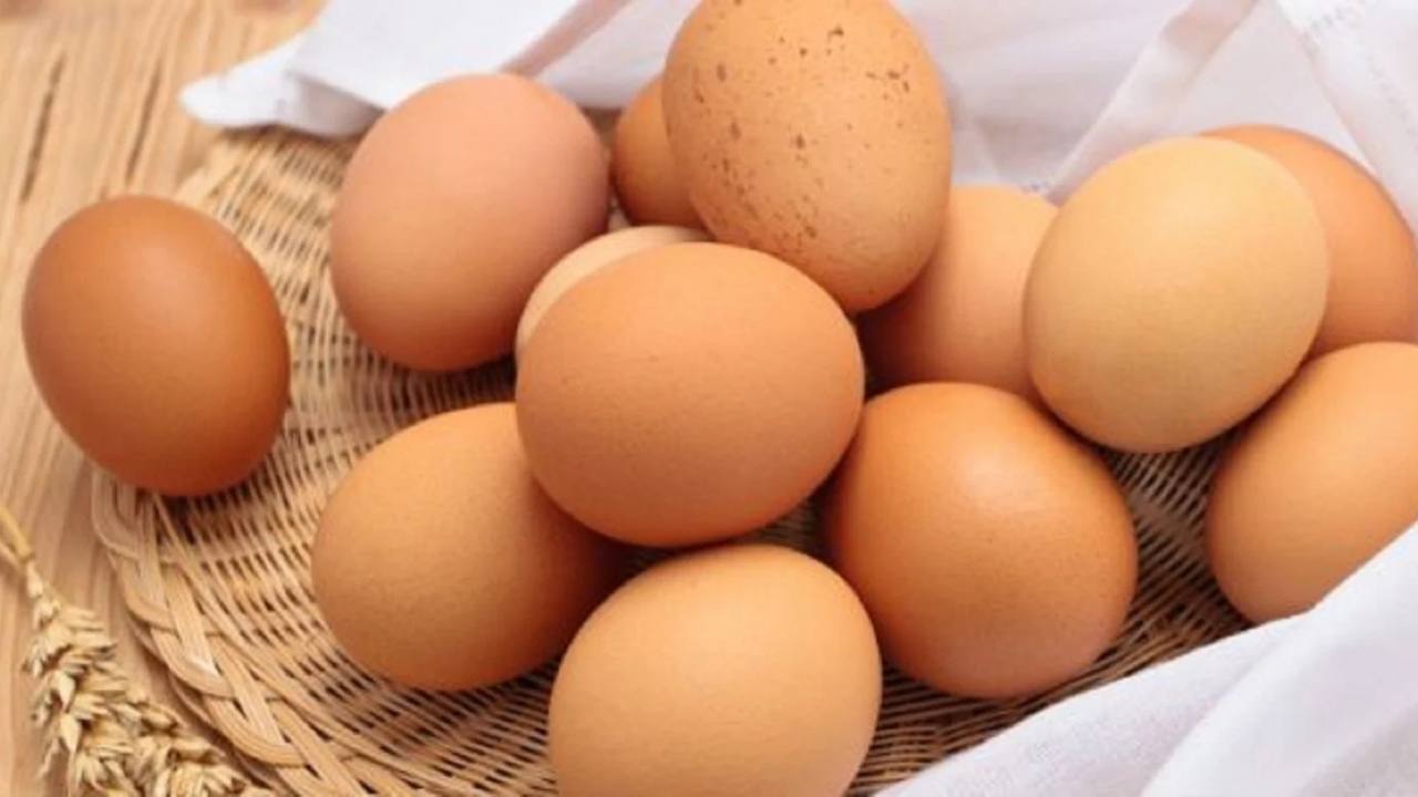 Harga Telur di Kota Ini Sedang Turun