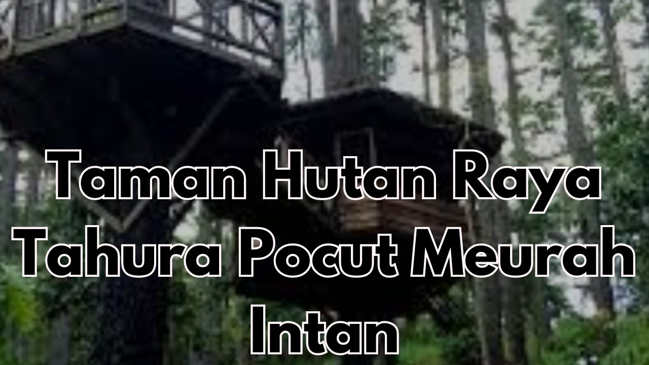 Misteri Noni Belanda di Taman Hutan Raya Tahura Pocut Meurah Intan