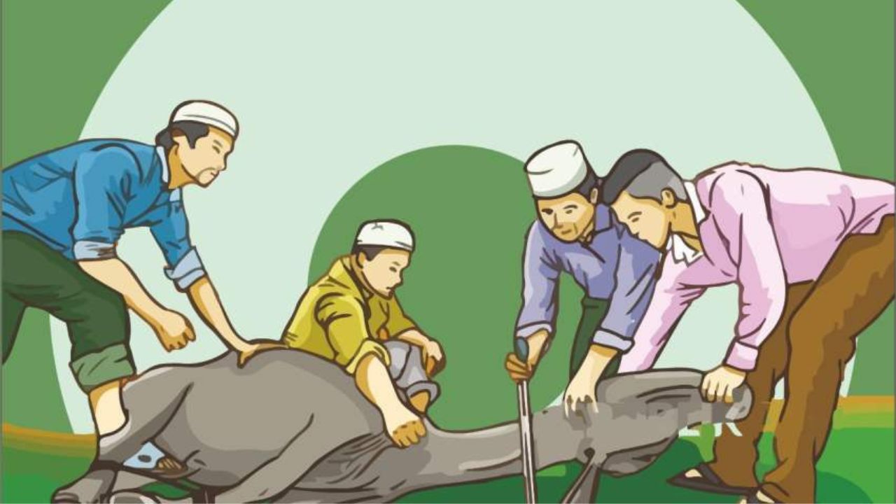 Keutamaan Berkurban: Pahala Besar di Setiap Langkah