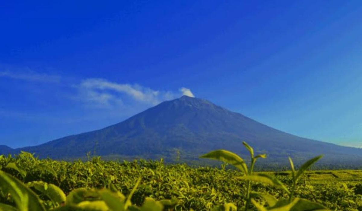 5 Tempat Wisata Terbaik di Jambi yang Wajib Anda Kunjungi