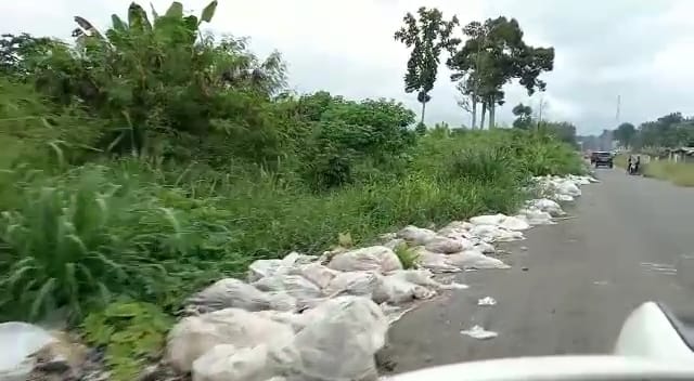 Terkesan tak Peduli Kebersihan, Tumpukan Sampah di Pulo Mas Mengeluarkan Bau tak Sedap