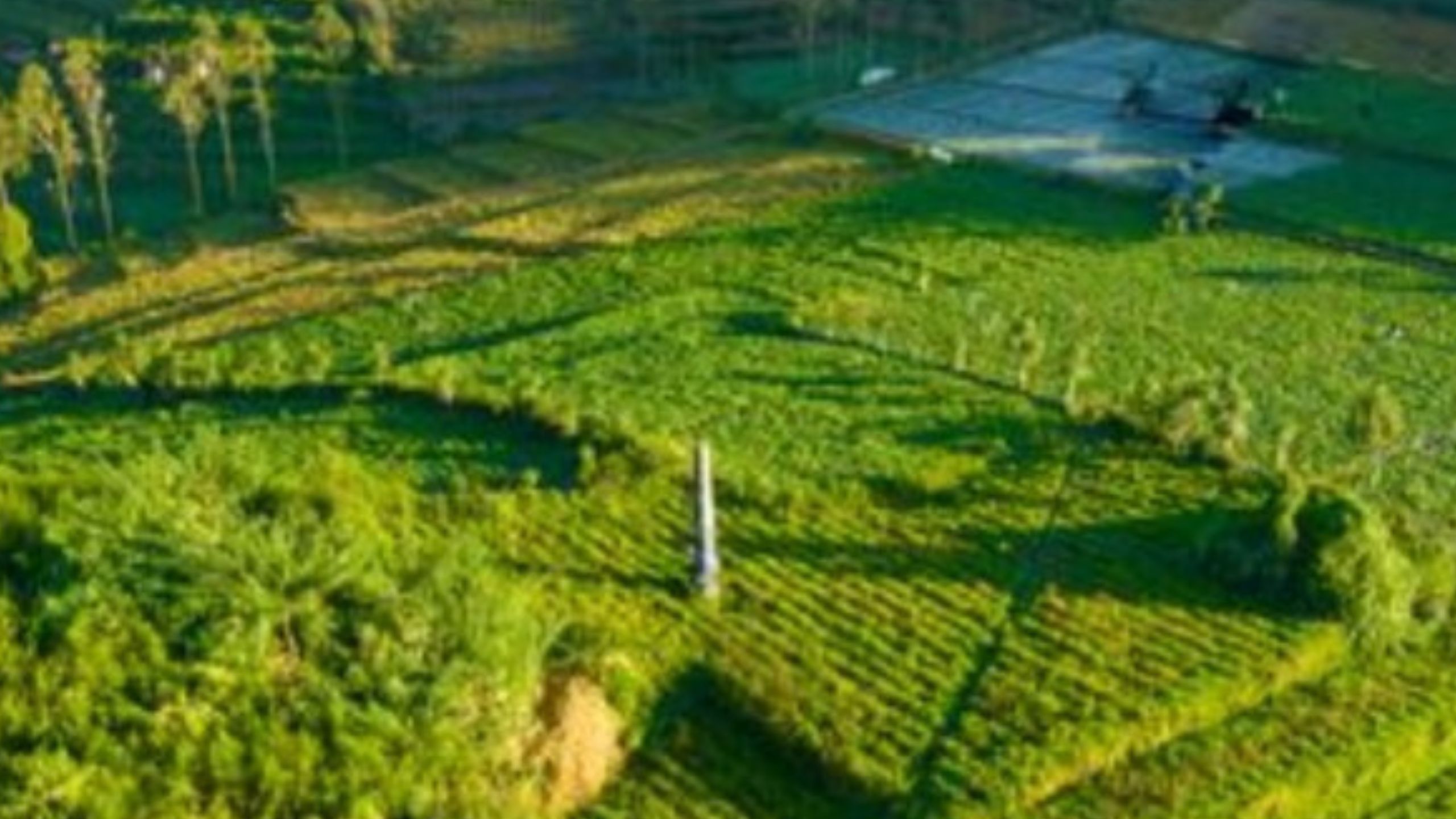 Misteri Desa yang Hilang di Dieng, 322 Penduduk dan 9 Tamu Ikut Terkubur, Begini Kisahnya!