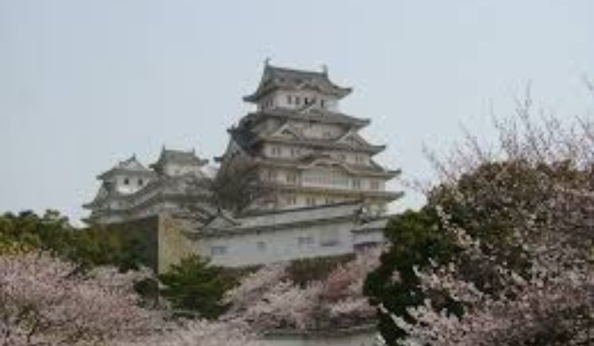 Kastil Himeji: Keindahan yang Memukau di Musim Semi