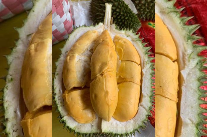 Tips Atau Cara Memilih Buah Durian yang Matang, Dijamin Lezat!