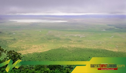 Ngorongoro Tanzania, Surga Satwa Liar di Kawah Vulkanik Raksasa