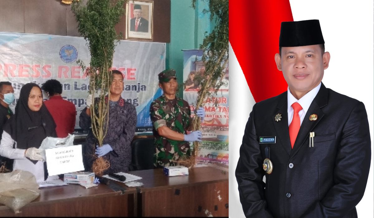 Mengungkap Ladang Ganja, Tim BNN Empat Lawang dan Koramil Tebing Tinggi Mendapat Apresiasi dari Pj Bupati