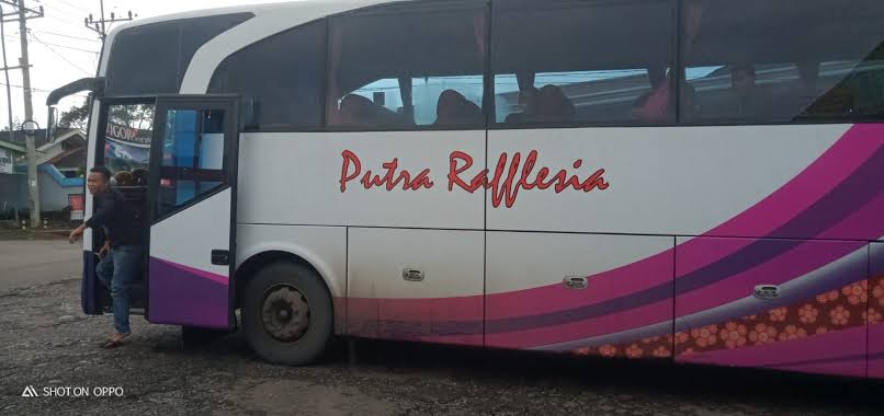 Segini Harga Tiket Bus Menuju Jakarta, Naik Atau Turun?