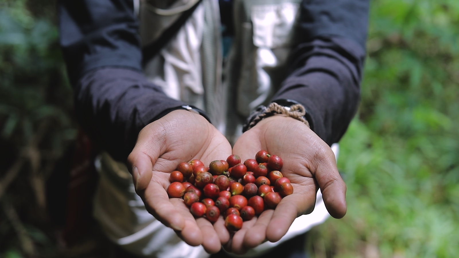 Lewat Program Desa BRILiaN, Desa Pajambon di Kuningan Jadi Contoh Transformasi Ekonomi Desa Berbasis Potensi L