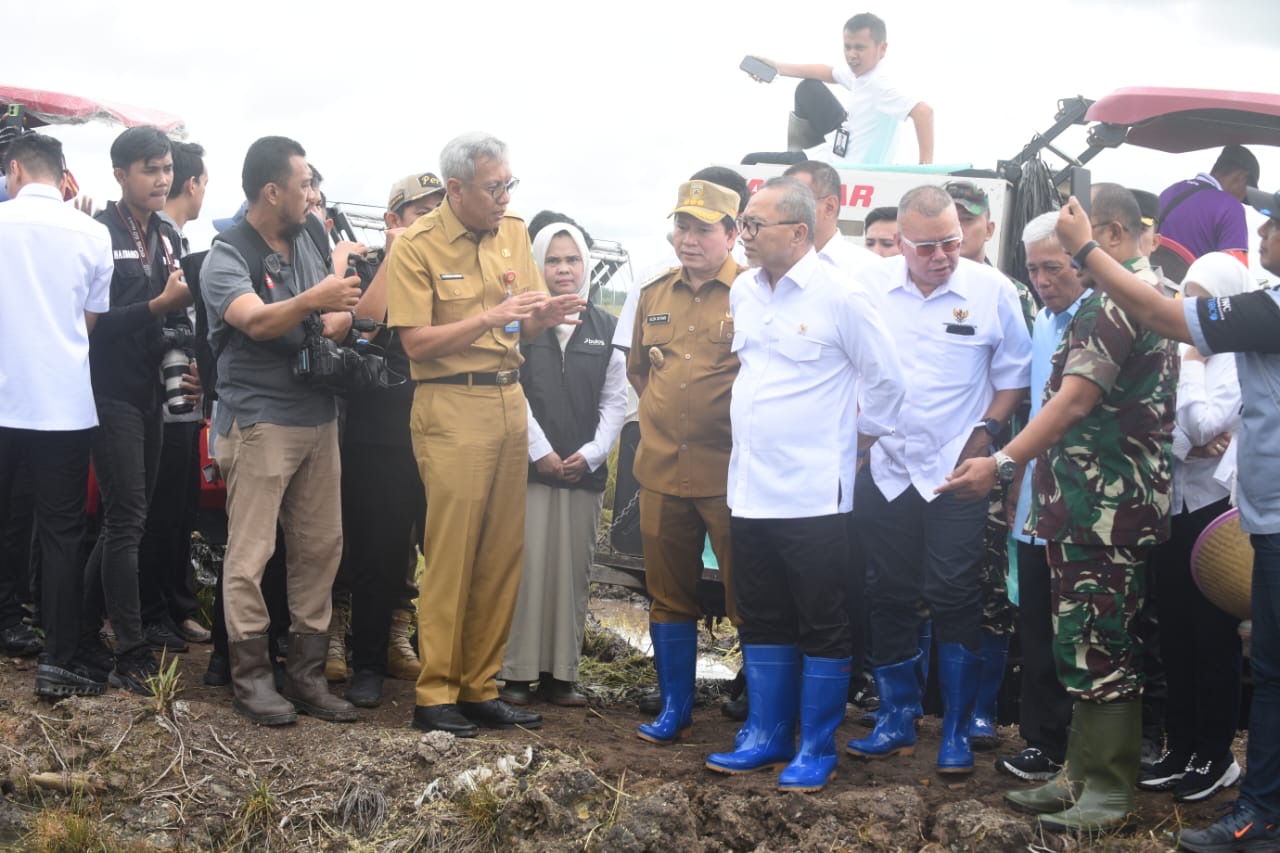 Pemerintah Pastikan Harga Beras Stabil! Panen Raya Banyuasin Jadi Bukti Nyata