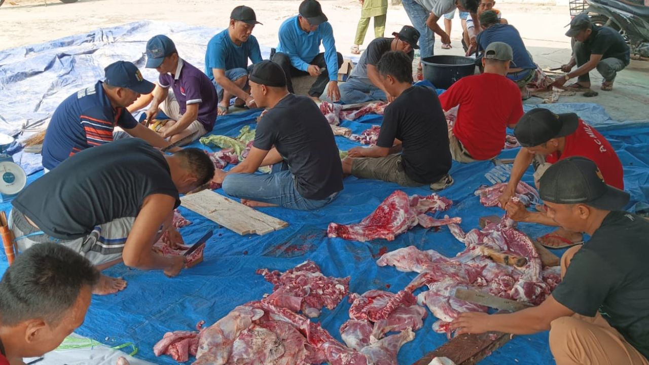 Kapan Batas Akhir Penyembelihan Hewan Kurban? Ini Aturan Pembagian Hewan Kurban