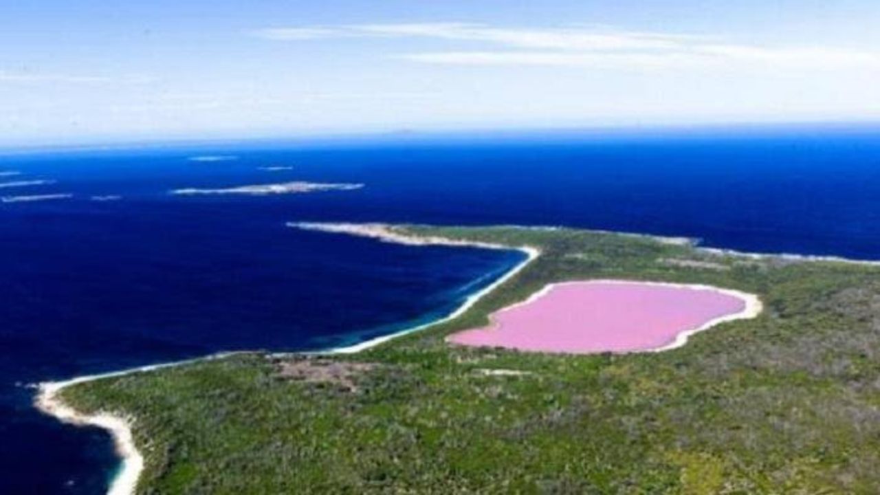 Danau Pink di Kepulauan Recherche, Australia Barat: Keajaiban Alam Berwarna Merah Muda 