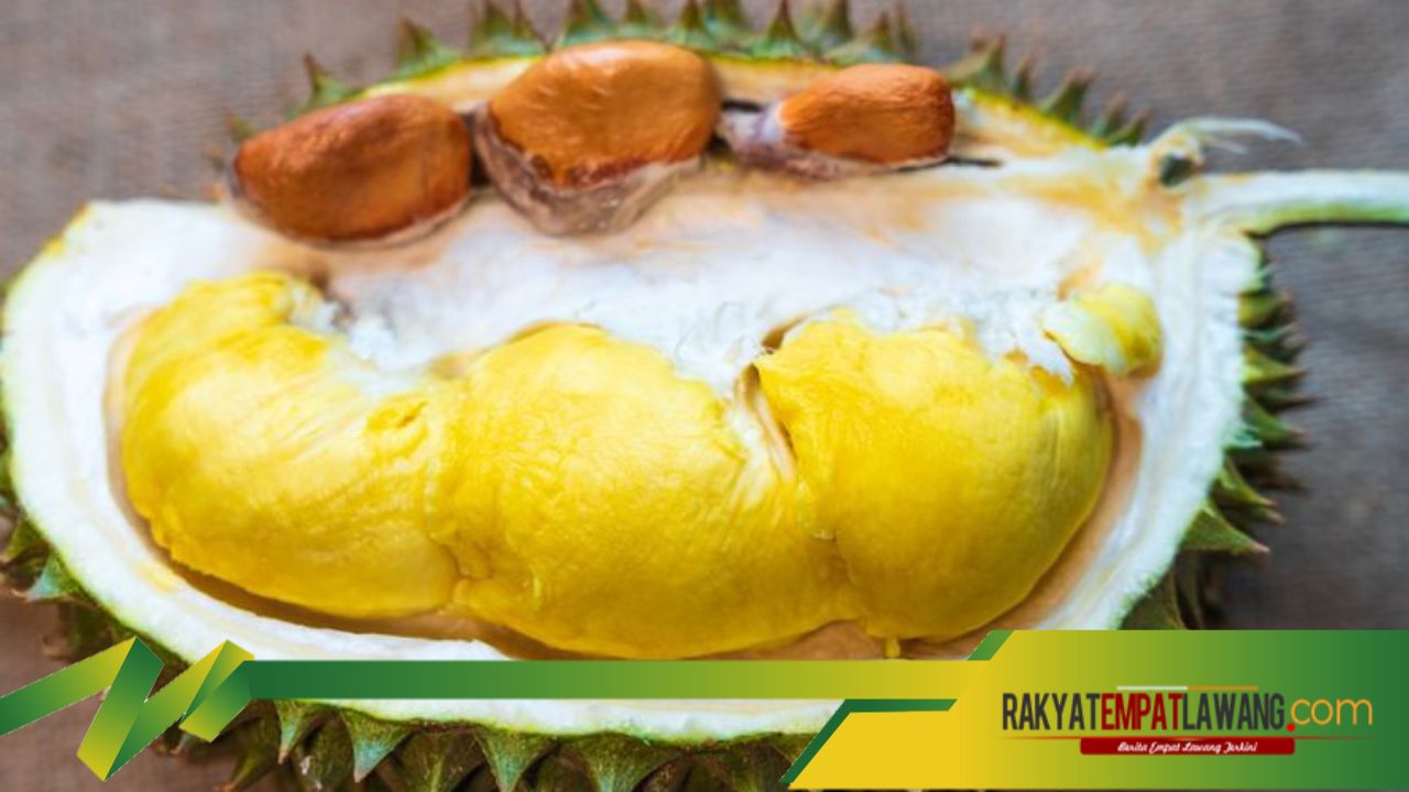 Jaga Kesehatan Tulang dan Gigi dengan Durian: Kekayaan Kalsium dan Fosfor