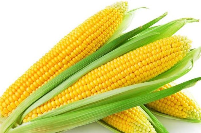 Beragam Protein dan Nutrisi yang Terkandung Dalam Jagung