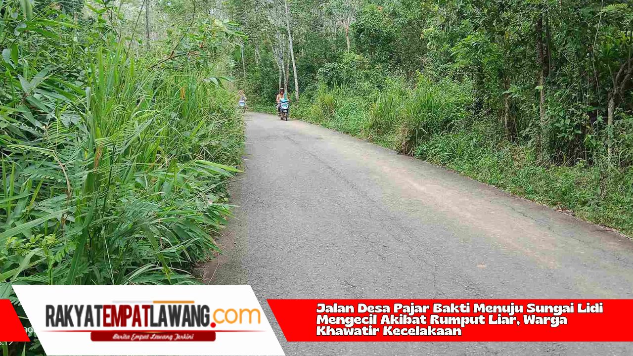 Jalan Desa Pajar Bakti Menuju Sungai Lidi Mengecil Akibat Rumput Liar, Warga Khawatir Kecelakaan 